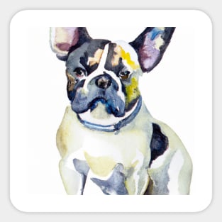 French Bulldog Watercolor - Gift For Dog Lovers Sticker